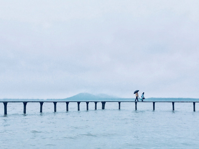 water-winter-beach-sea-bridge picture material