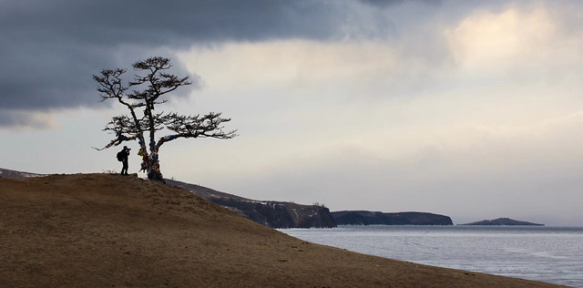 landscape-water-tree-no-person-sea picture material