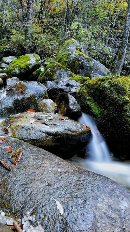 autumn-color 图片素材