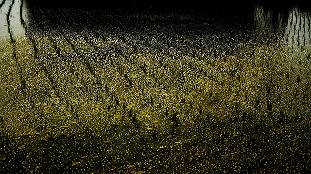 desktop-no-person-texture-yellow-dark 图片素材