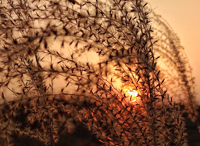 desktop-nature-abstract-texture-color 图片素材