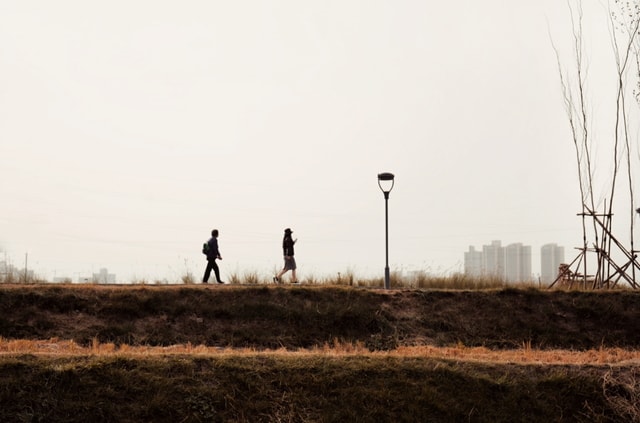 sky-field-grass-tree-landscape 图片素材