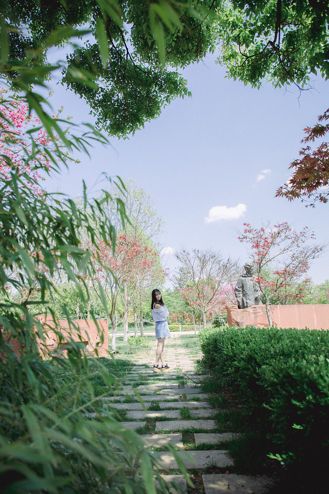 tree-nature-landscape-garden-leaf 图片素材
