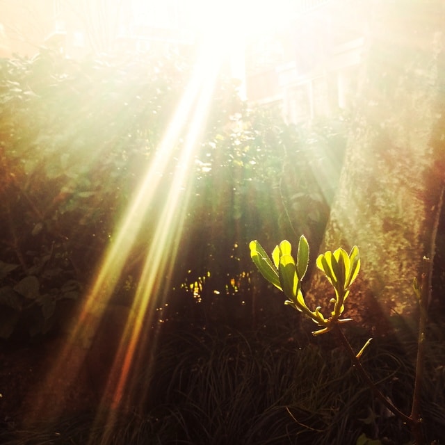 people-in-nature-sunlight-nature-sky-yellow 图片素材