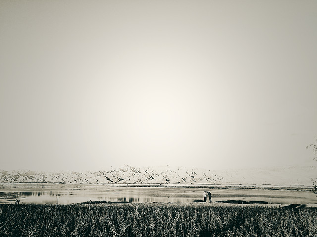 landscape-fog-water-sea-dawn 图片素材