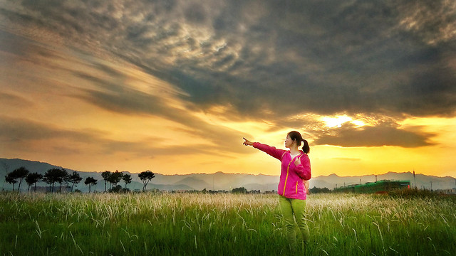 grass-sky-sunset-nature-grassland 图片素材