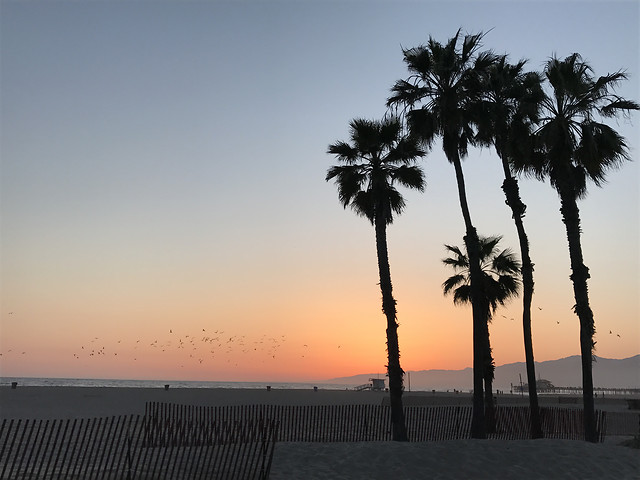 beach-no-person-sun-sand-sunset picture material