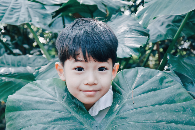 child-people-portrait-nature-face picture material