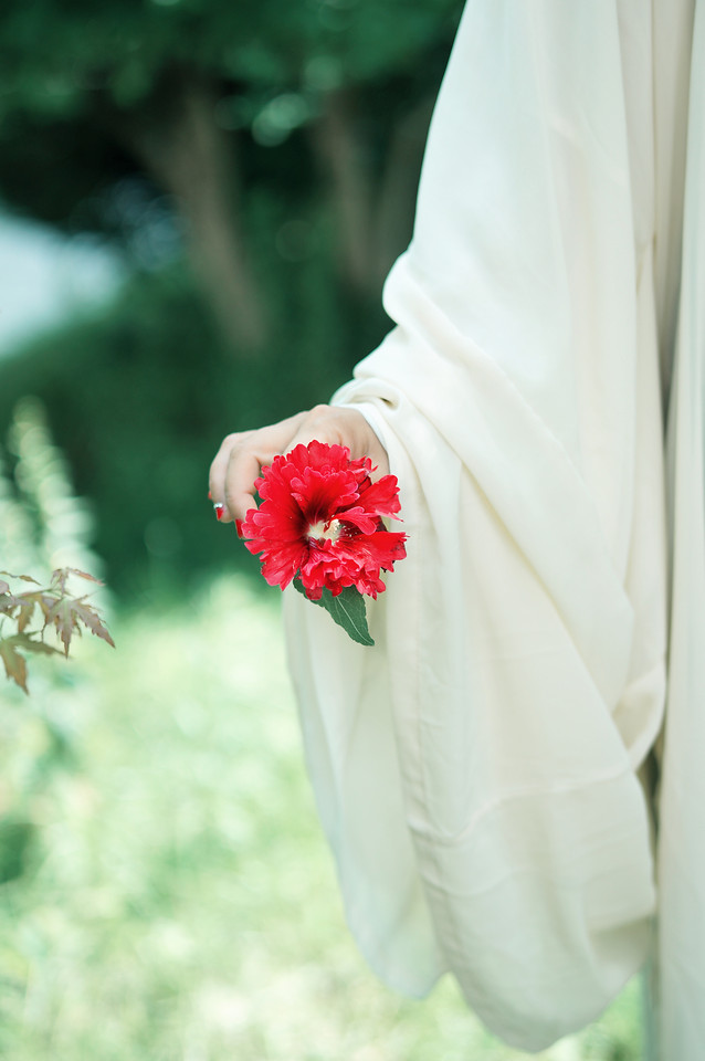 nature-flower-wedding-summer-outdoors picture material