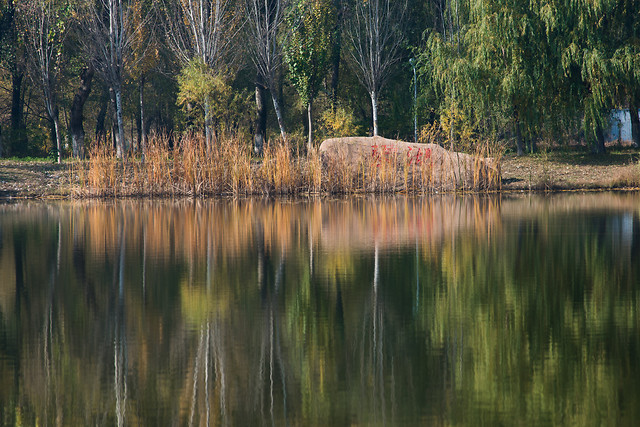 nature-reflection-water-no-person-landscape 图片素材
