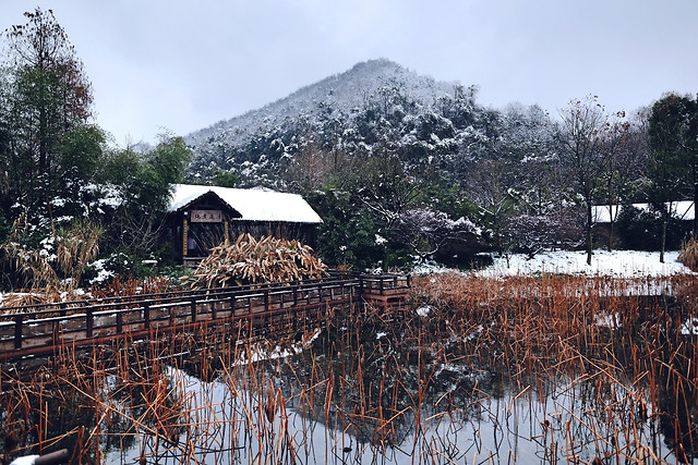 winter-tree-house-wood-landscape picture material