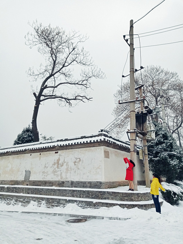 认真的雪 图片素材