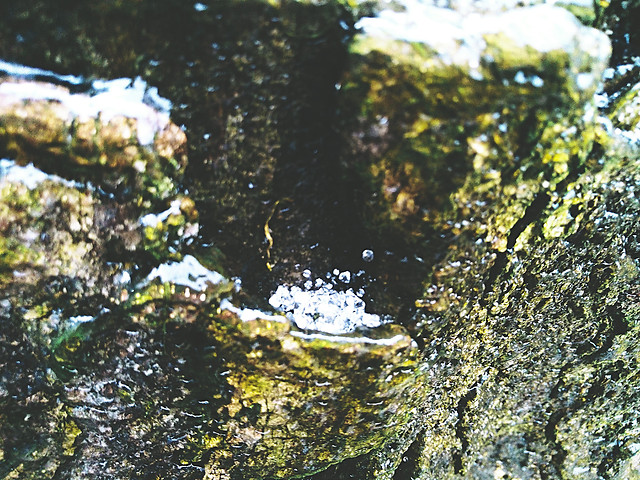 water-nature-moss-river-no-person picture material