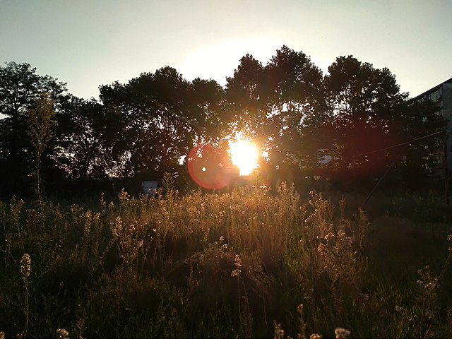 sunset-dawn-sun-landscape-evening 图片素材