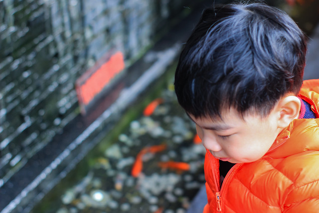 child-people-portrait-red-one picture material