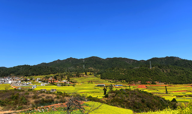 no-person-cropland-travel-outdoors-agriculture picture material