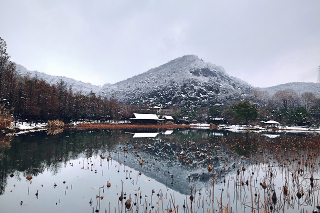 snow-winter-water-nature-tree 图片素材