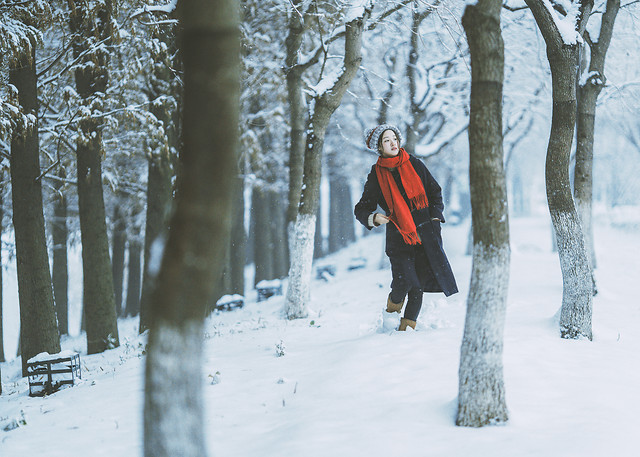 snow-winter-cold-frost-wood 图片素材