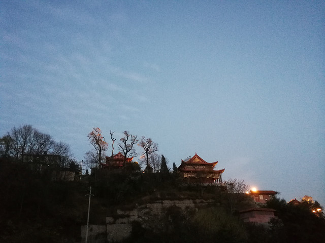 tree-sky-no-person-landscape-winter 图片素材