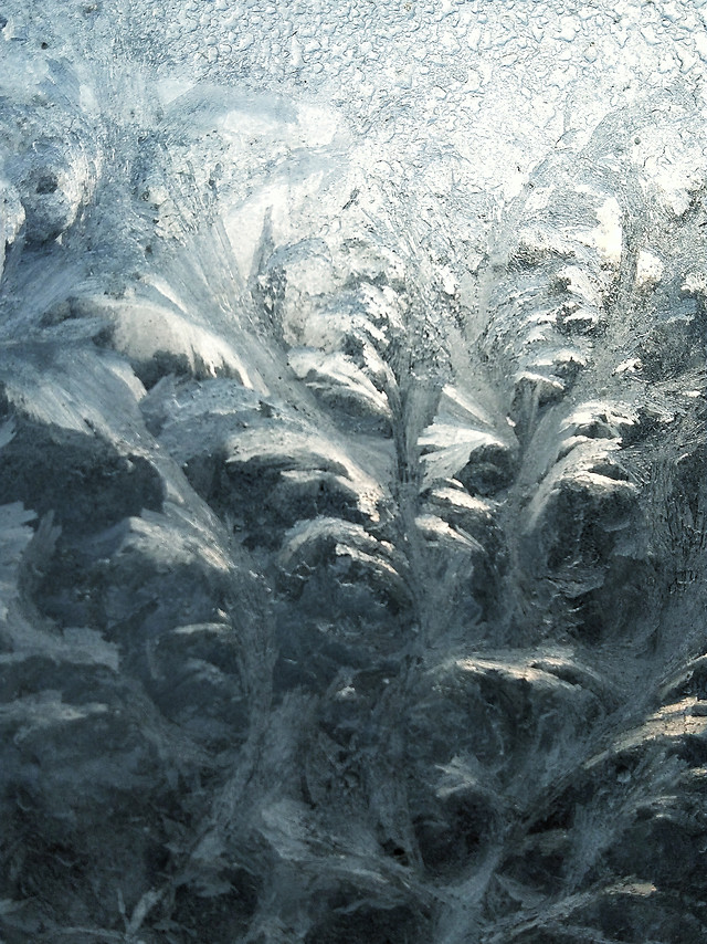 cold-frost-no-person-snow-winter picture material