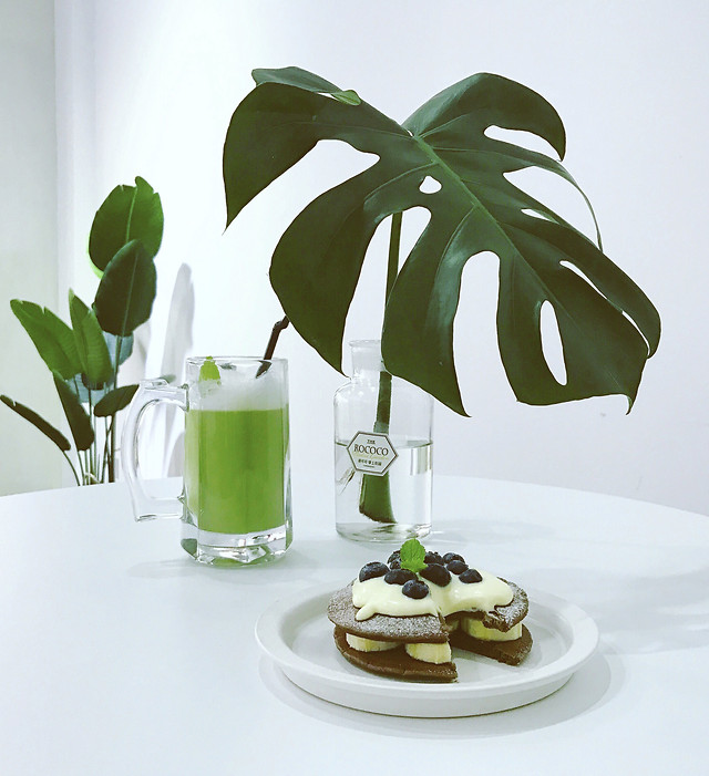 leaf-no-person-flora-table-tree 图片素材