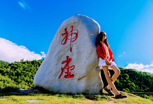 nature-sky-summer-grass-outdoors 图片素材