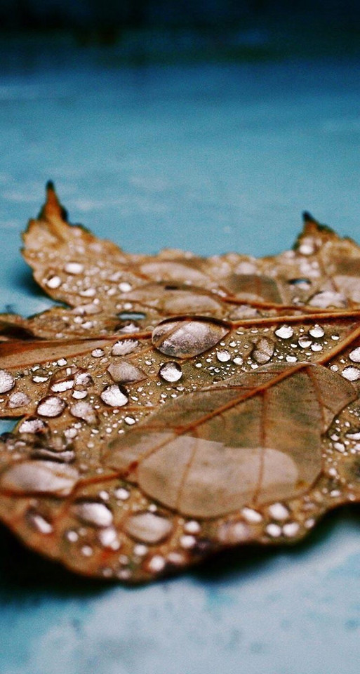 water-nature-no-person-desktop-closeup picture material