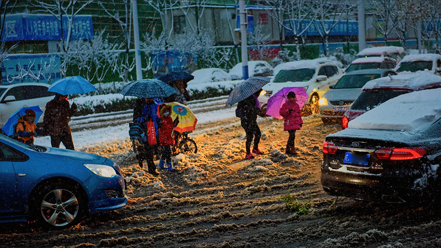 vehicle-car-people-transportation-system-road picture material