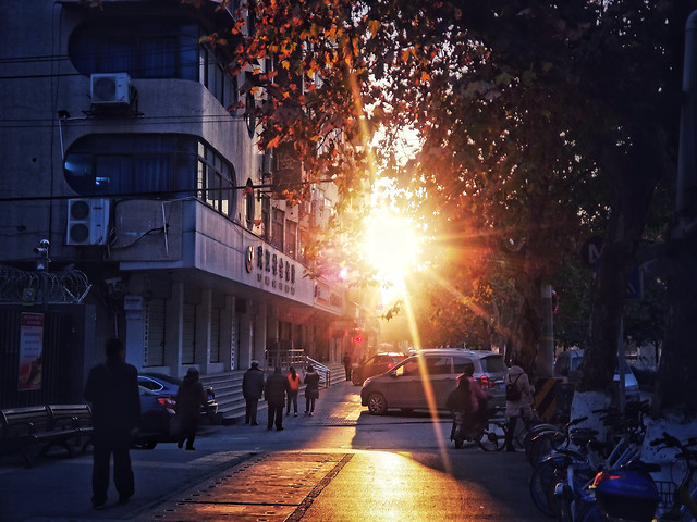 flame-light-street-road-police 图片素材