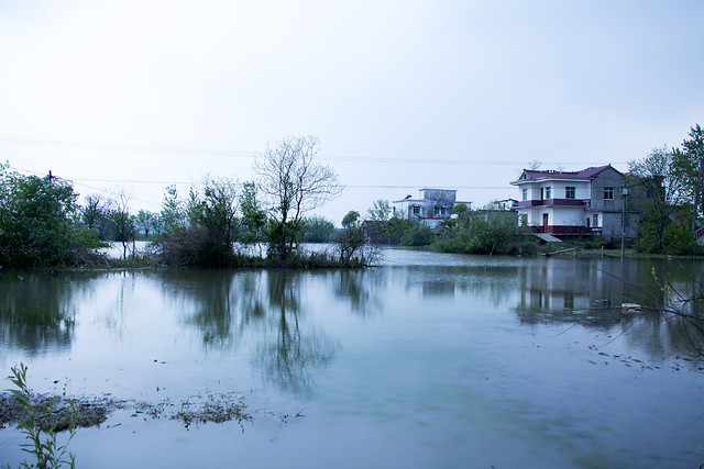 water-river-lake-reflection-tree picture material