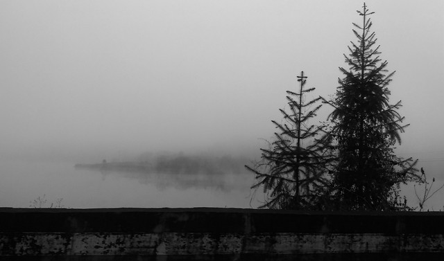 fog-no-person-tree-monochrome-landscape 图片素材