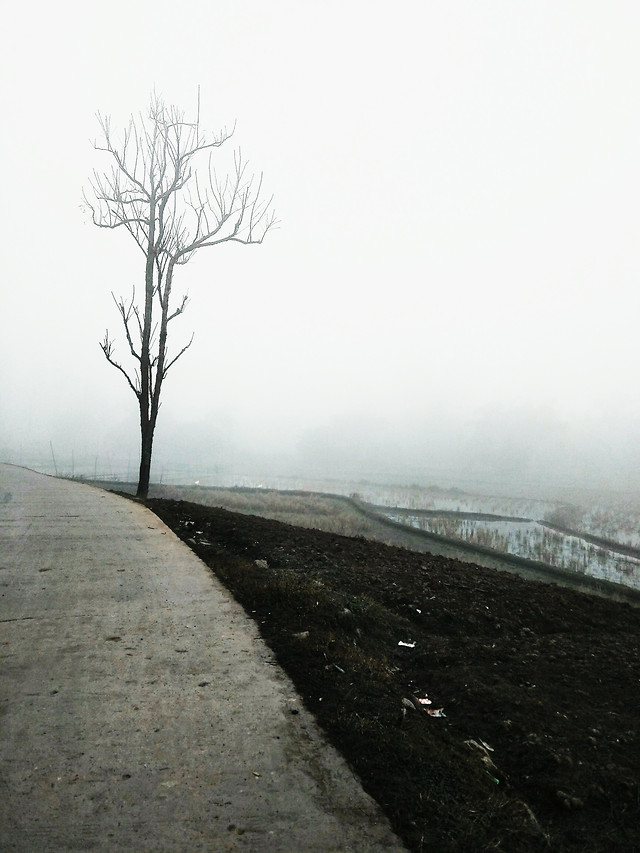 fog-landscape-road-winter-no-person 图片素材