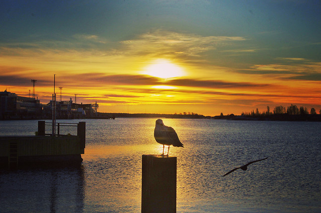 sunset-sky-water-sea-evening 图片素材