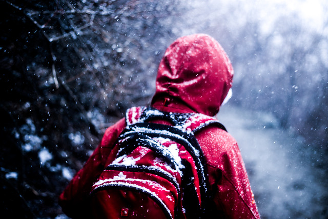 winter-snow-cold-no-person-christmas picture material