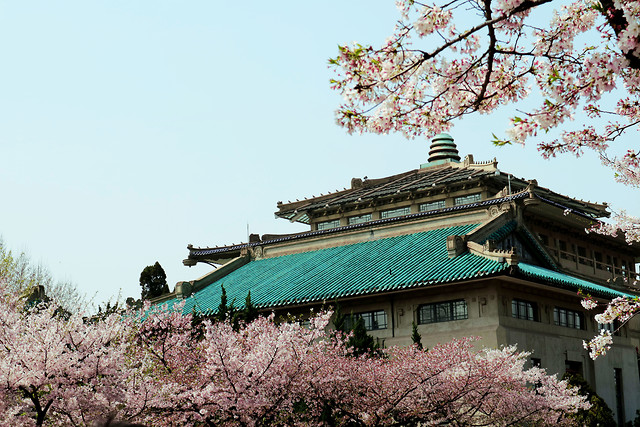 architecture-tree-flower-building-plant picture material