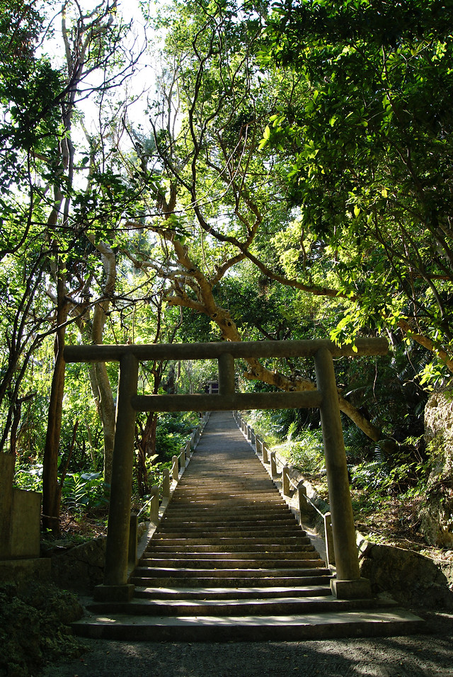 wood-no-person-tree-leaf-nature 图片素材