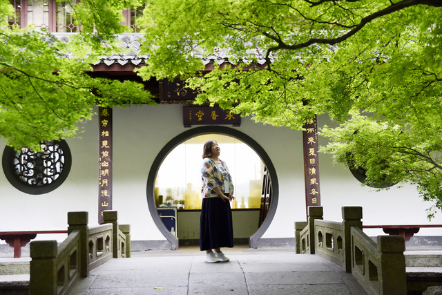 tree-wood-architecture-park-landscape 图片素材