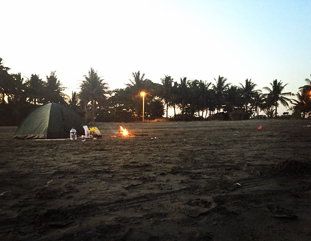 people-sunset-beach-competition-evening picture material