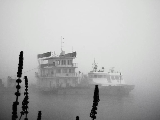 water-watercraft-fog-vehicle-sea 图片素材
