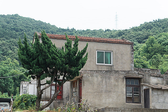 architecture-building-no-person-house-tree 图片素材