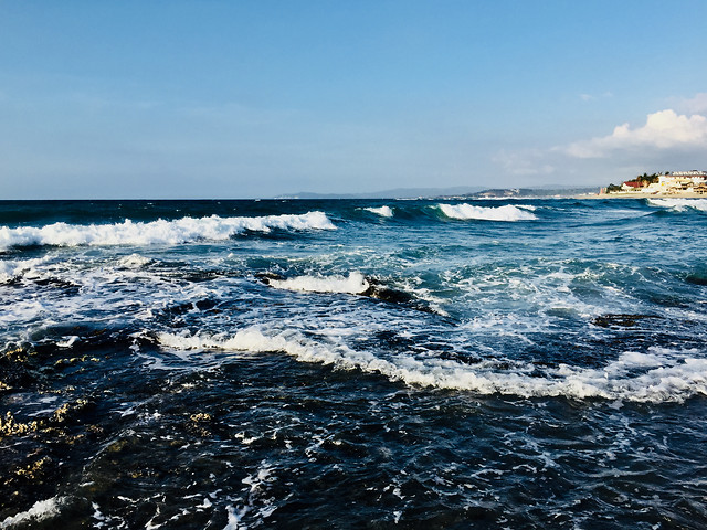 water-sea-ocean-beach-surf picture material