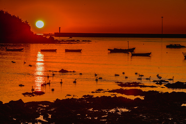 sunset-dawn-water-sea-beach 图片素材