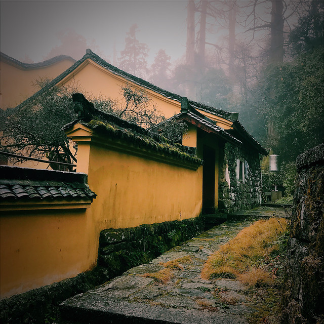 house-architecture-no-person-building-home 图片素材