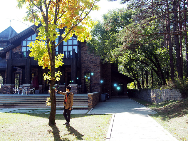 tree-road-people-park-outdoors 图片素材