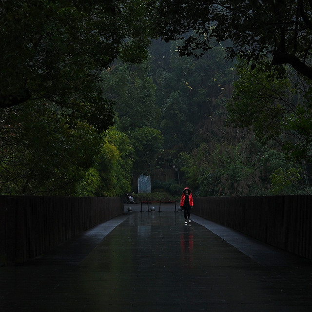 rain-road-street-people-storm 图片素材