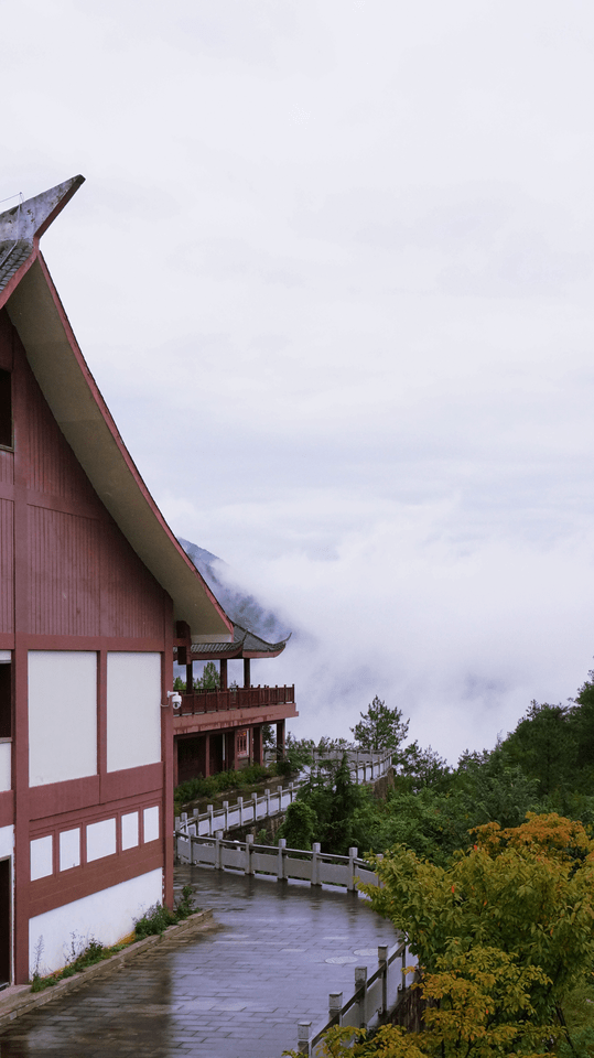 sky-architecture-house-home-tree 图片素材