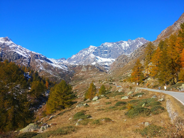 mountain-nature-tree-sky-valley picture material