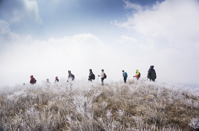 outdoors-sky-landscape-nature-grass picture material