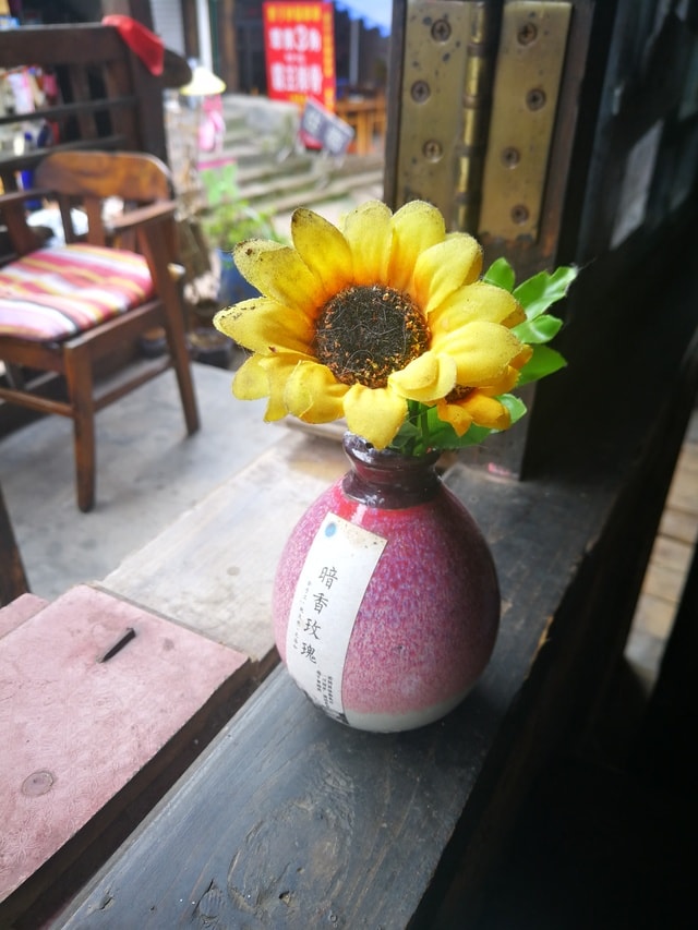 flower-no-person-summer-decoration-color picture material