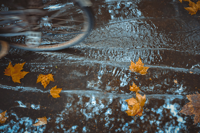 water-reflection-no-person-fall-desktop 图片素材